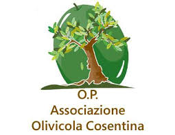 Associazione Olivicola Cosentina: gara da oltre 2 milioni di euro per la promozione dell'olio extravergine d'oliva europeo a Taiwan