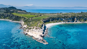 Assovini Sicilia sceglie Zed Comm per la gestione delle attività di comunicazione, ufficio stampa e pubbliche relazioni per l’Italia e per l’estero