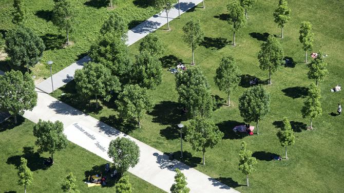 BAM5 @Lorenzo De Simone