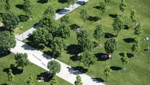 Ricola sostiene la Biblioteca degli Alberi