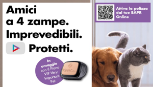 Al via la partnership tra Bapr, YOLO e Gruppo Helvetia Italia per offrire nuove soluzioni assicurative fully digital