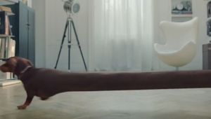 Mosquito firma lo spot dell’Aceto Balsamico di Modena IGP Monari Federzoni