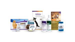 Bayer consolida la comunicazione di Companion Animal in Proximity e BBDO