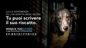 Al via la campagna 5x1000 per la Lega Nazionale per la Difesa del Cane firmata da Being