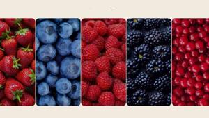 Berry Swing a Livigno e Bormio per le Olimpiadi di Milano-Cortina 2026 con la campagna di comunicazione Berry Swing a Livigno e Bormio per le Olimpiadi di Milano-Cortina 2026 con la campagna di comunicazione