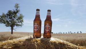 Parte da Deruta il tradizionale rito della raccolta dell’orzo Birra Peroni