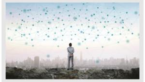 NC. Un anno di opportunità