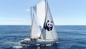 WWF Italia lancia le attività di GenerAzione Mare, l’iniziativa volta alla difesa collettiva del Capitale Blu del Mediterraneo
