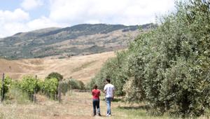  H-FARM Digital Marketing supporta la startup agrifood Boniviri nella comunicazione digital