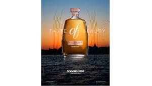 OF Amarone Barrique di Bonollo 1908 sceglie Hallelujah del gruppo High5 Commitment e va on air con lo spot 'Taste OF Beauty'