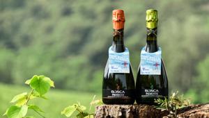 This is Ideal firma la campagna digital per Bosca e fondazione Telethon