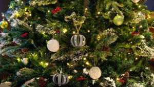 Natale #LikeABosch in radio e sui social con Different