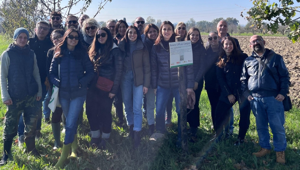 Al via da Bologna la seconda edizione dell’iniziativa “Bosco Diffuso Despar" realizzata in partnership con PlanBee