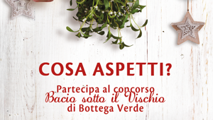 La campagna di Natale web e social di Bottega Verde è stata supportata da Hub09