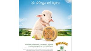 Formaggio Brigante dei Fratelli Pinna debutta in tv e va su stampa con Quom3