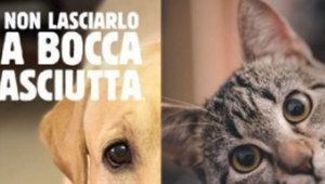 'Felice come un king', Leagas Delaney firma la campagna dedicata alla partnership tra Burger King e Glovo