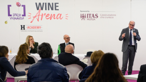 Enoturismo: asset strategico da 46 miliardi contro il calo dei consumi globali di vino