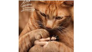 'Solo insieme è davvero una vacanza', la campagna 'Pet - friendly'  di Tbwa\Italia per Gruppo Alpitour