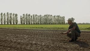 Orogel 'la meraviglia è dovunque, basta cercarla' nella nuova campagna di Serviceplan Italia