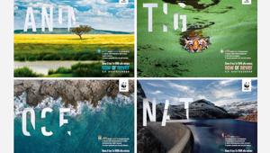 VMLY&R Italy e WWF insieme per salvare il pianeta