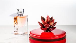 Online la campagna digital #BeautyFoodDay di TwentyTwenty per esserbella