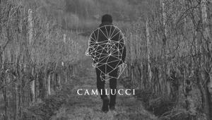 Babol accompagna sui social Camilucci Franciacorta