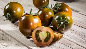 iLcamone, l’originale, torna in comunicazione su web e social con una food blogger challenge