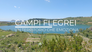 ‘Un territorio che emoziona’: Federalberghi Campi Flegrei e Campi Flegrei Active scelgono Humaneyes per un percorso formativo finalizzato alla gestione della relazione con il cliente e alla promozione del territorio