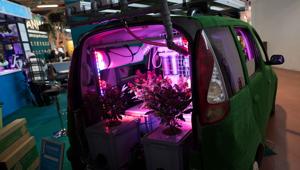 'Canapa Mundi': la fiera internazionale della canapa a Roma dal 15 al 17 febbraio 2019