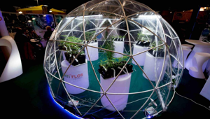 Alla Fiera di Roma l'edizione 2020 di Canapa Mundi aumenta lo spazio espositivo e il calendario di eventi in programma