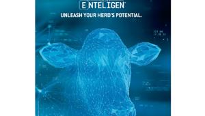 TBWA\Italia è la nuova agenzia per la comunicazione istituzionale e BtoB di Cargill