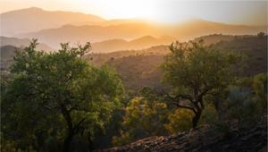 Carapelli Firenze chiude la gara e sceglie Soluzione Group per le attività di media relations (corporate e di prodotto) e digital PR