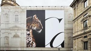 Campagna globale evocativa per Cartier che celebra il simbolo della Pantera. Firma WPP Media