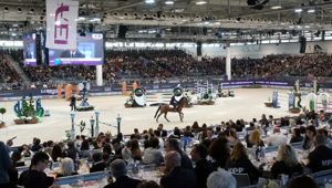 Fieracavalli: a Veronafiere 3mila cavalli, 300 aziende e oltre 200 eventi danno il via all'edizione 2021