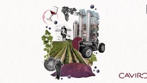 Gruppo Caviro sceglie Different per strategia social e PR