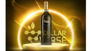 CellarVerse: ecco la prima startup che lancia gratuitamente nel metaverso le cantine italiane e le veste di arte
