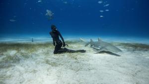 Centro Velico Caprera supporter della seconda edizione dell’Ocean Film Festival Italia al via in ottobre