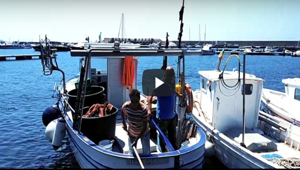 'Cilento Terra Autentica', il video per far conoscere il Cilento nel mondo sfiora 1 mln di visualiuzzazioni