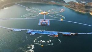 In Cina i 'floating piers' da record: passerelle galleggianti di 50 km sul fiume Hongshui