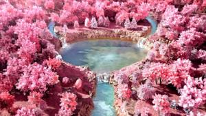 Alfasigma conferma Armando Testa per la  comunicazione di Cistiflux