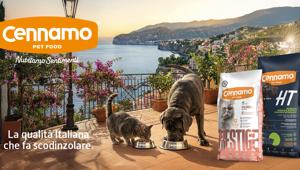 The Village firma “Code Felici”, la nuova campagna di Cennamo Pet Food che celebra l’Amore per i nostri amici a quattro zampe