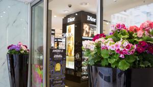 Coin in fiore, la primavera sboccia nei department store