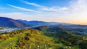 Consorzio del Vino Conegliano Valdobbiadene Prosecco sceglie HOPSCOTCH Network per la promozione in Canada, Svizzera e Giappone