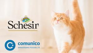 Comunico si aggiudica la consultazione per la web-presence di Schesir