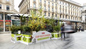 Coop pianta 10.000 alberi in città contro la crisi climatica e con Silverback realizza le “oasi urbane” per la sostenibilità