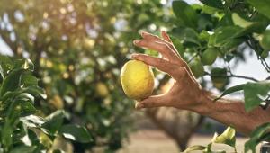 I’m not a robot rilancia il Fior Fiore di Coop: il meglio della cultura enogastronomica in un gesto