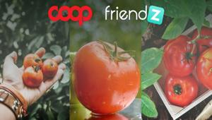 Friendz dà vita alla passata di pomodoro più lunga d’Italia per Coop. In collaborazione con PHD