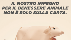 Y&R lancia la campagna 'Alleviamo la Salute' di Coop Italia per il benessere animale