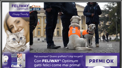 Creatività CEVA Feliway