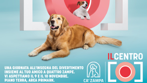 A IL CENTRO di Arese arriva Zoomunity DogShow, l'evento dedicato agli amici a quattro zampe